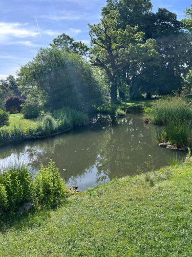 Friendship Walk, UNWG Geneva